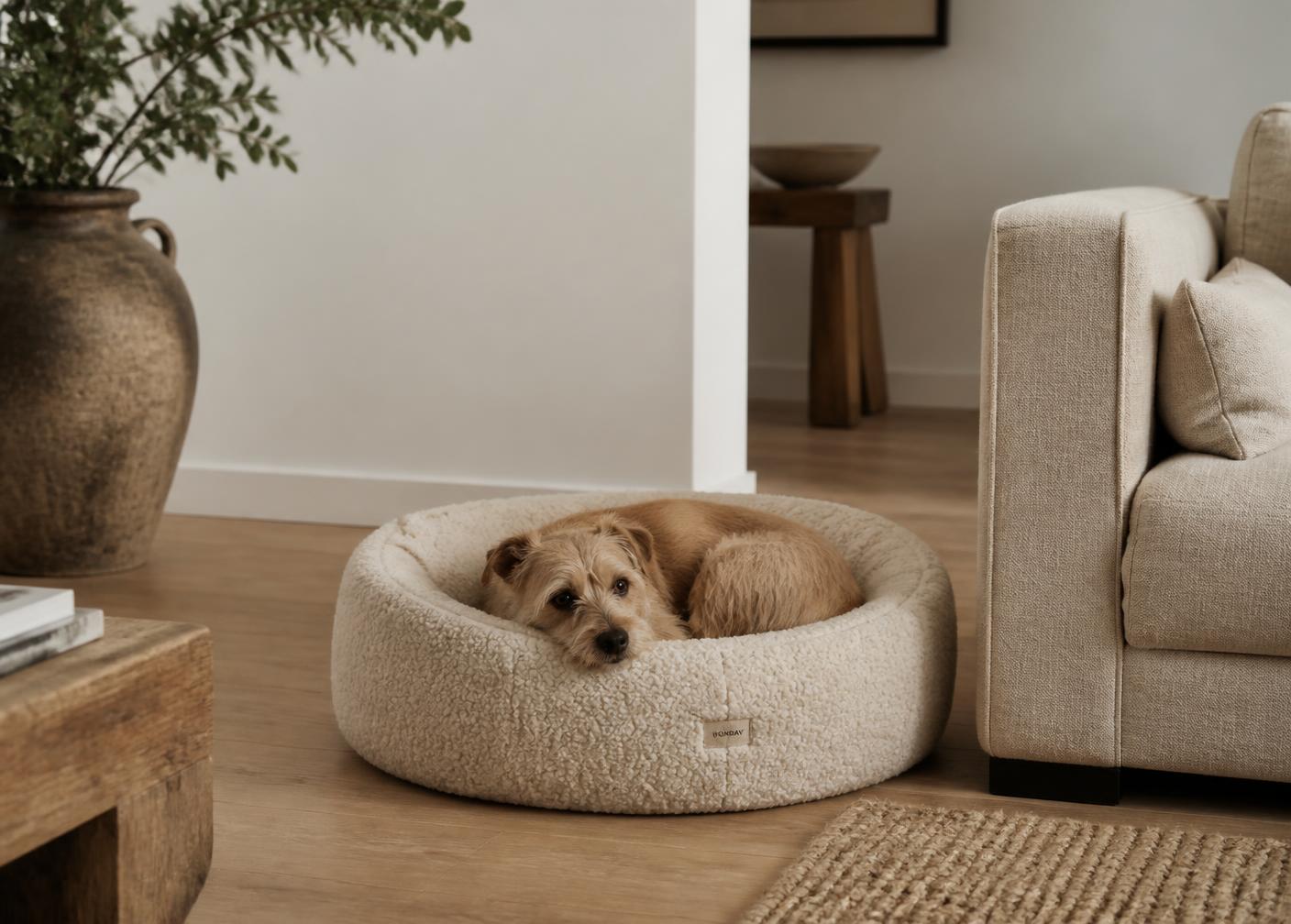 A terrier resting in a bouclé bed beside a linen sofa